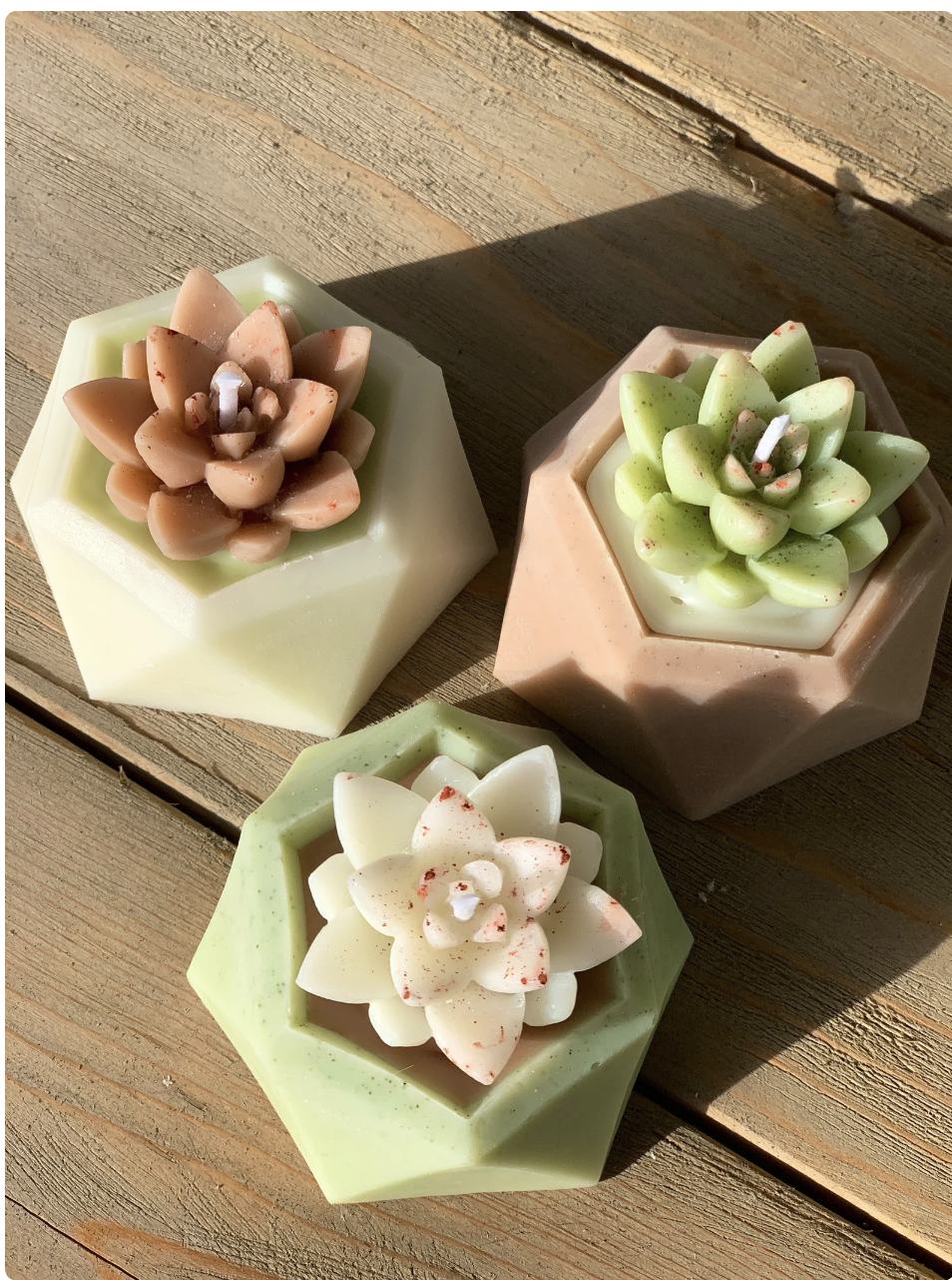 Succulent Candle Set